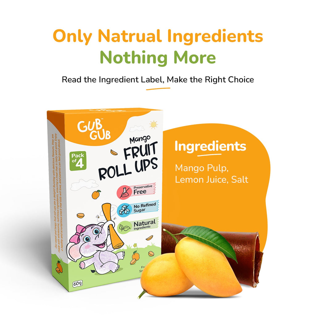 Fruit Roll Ups Assorted Pack of 4 | Apple, Mango, Guava, Berries
