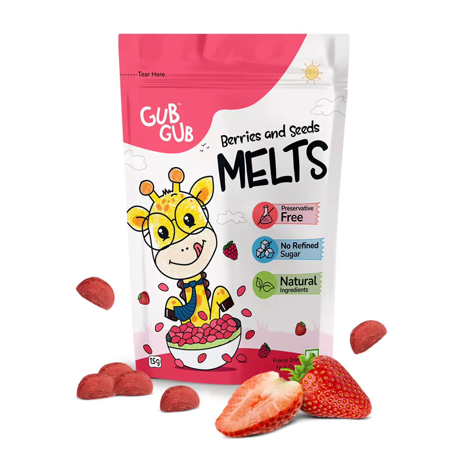 GubGub Fan - Pack of 4 (2 Fruit Roll Ups + 2 Fruit Melts)