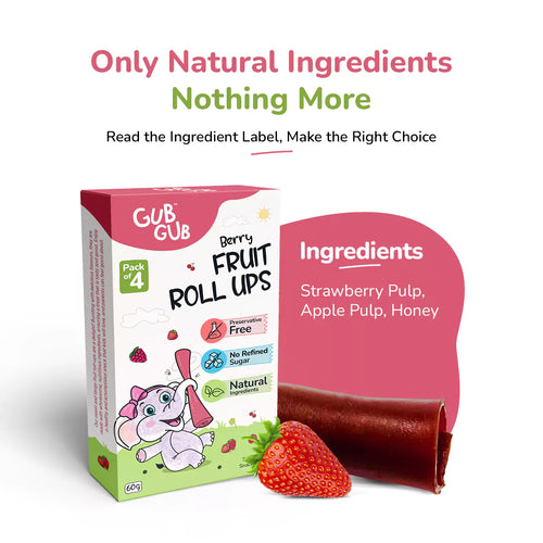 Berry Fruit Roll-Ups | Pack Of 4