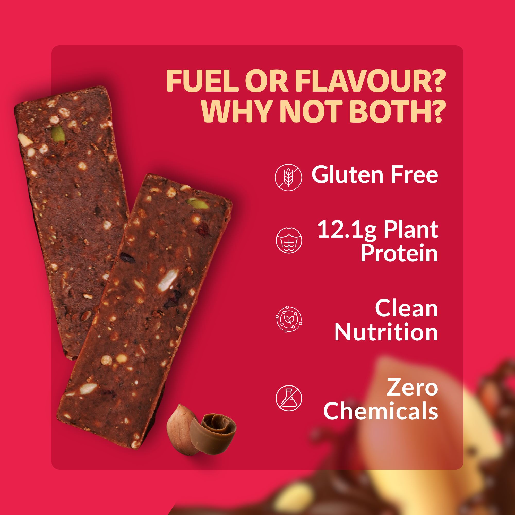 Peanut Chocolate High Protein Bar
